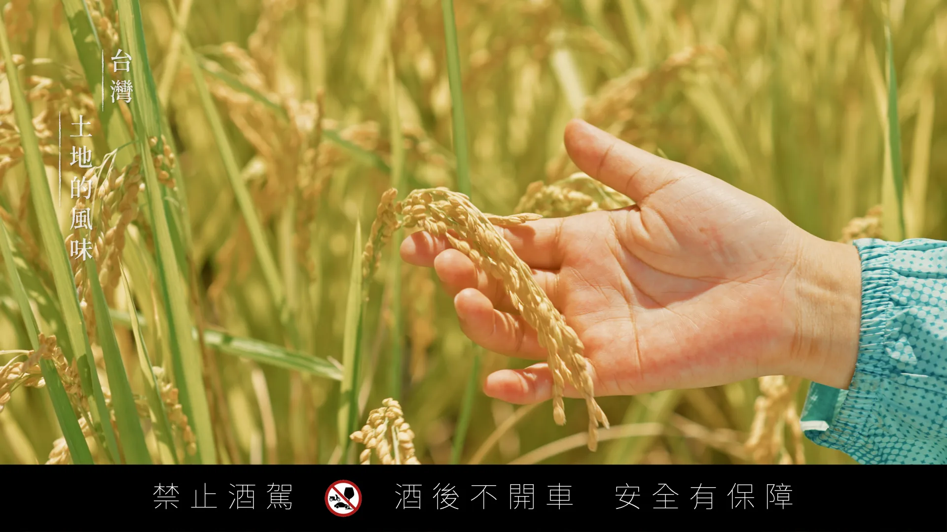 醲蒸餾所 形象影片
