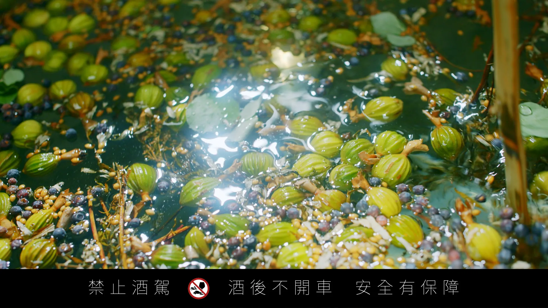 醲蒸餾所 形象影片