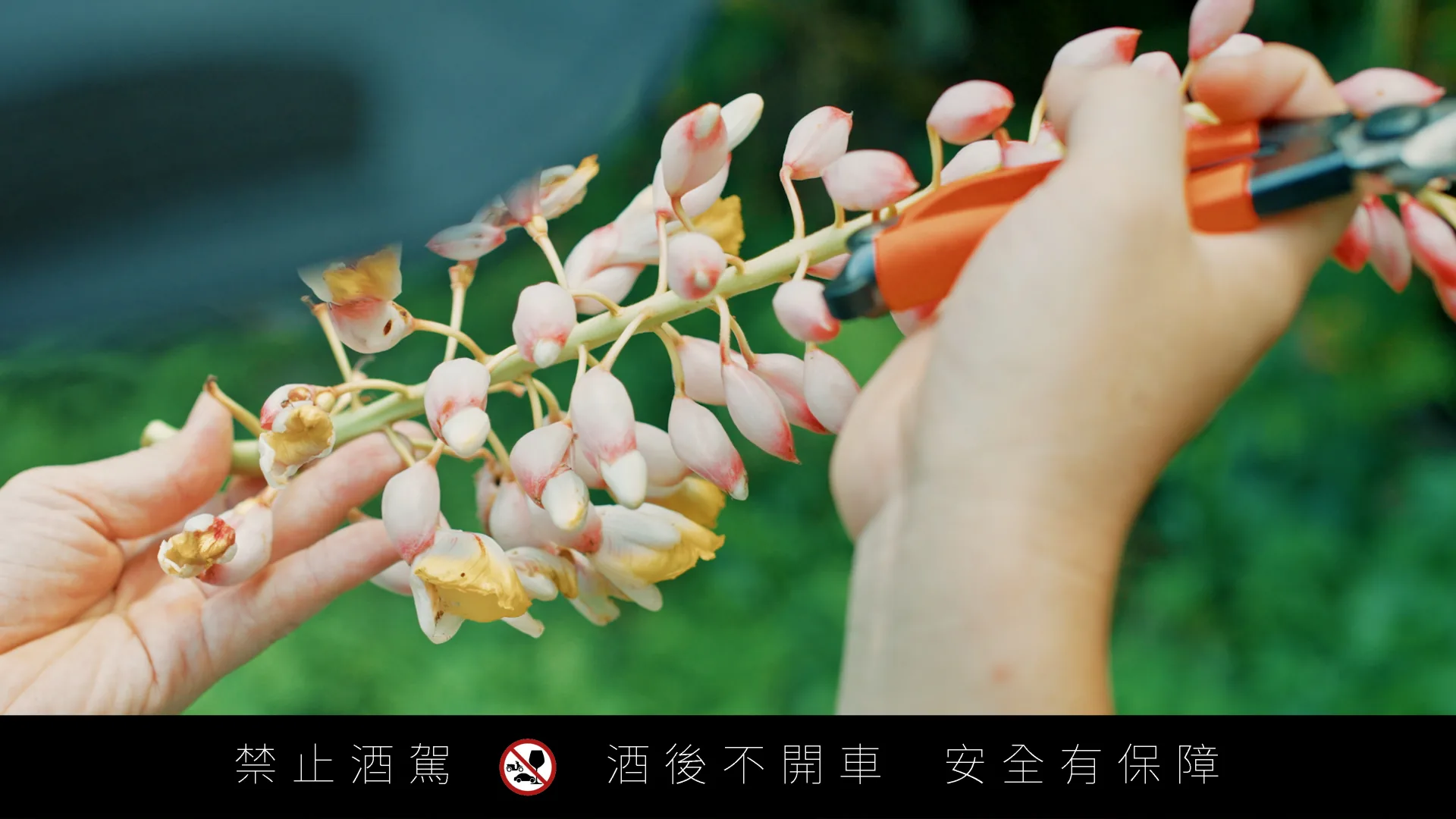 醲蒸餾所 形象影片