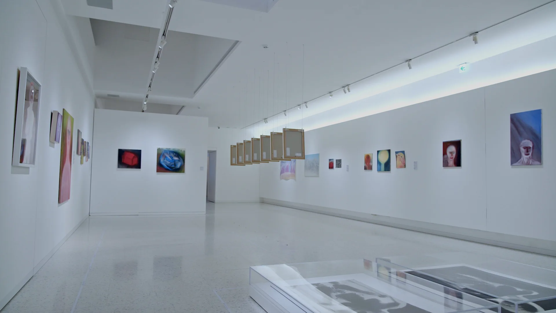 Miriam Cahn LEIB/BODY個展 展覽影片