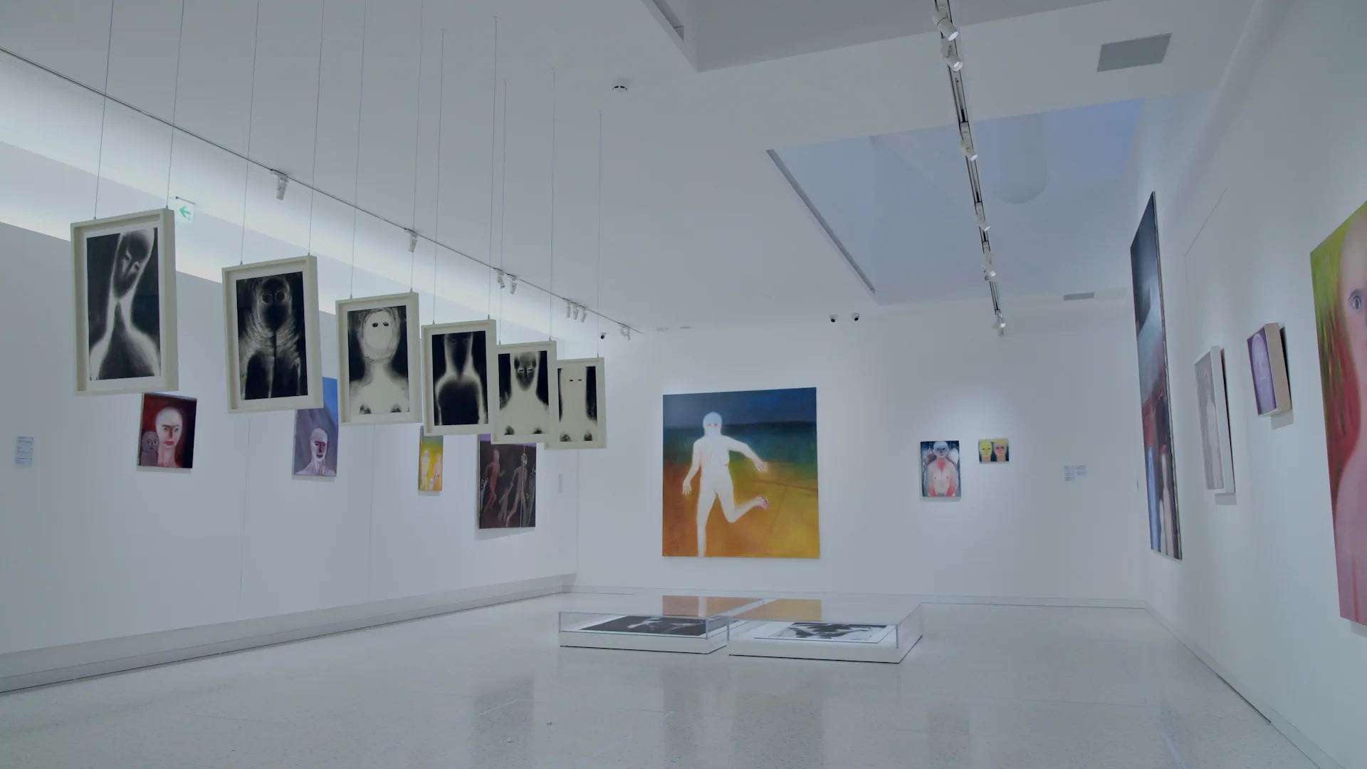 Miriam Cahn LEIB/BODY個展 展覽影片