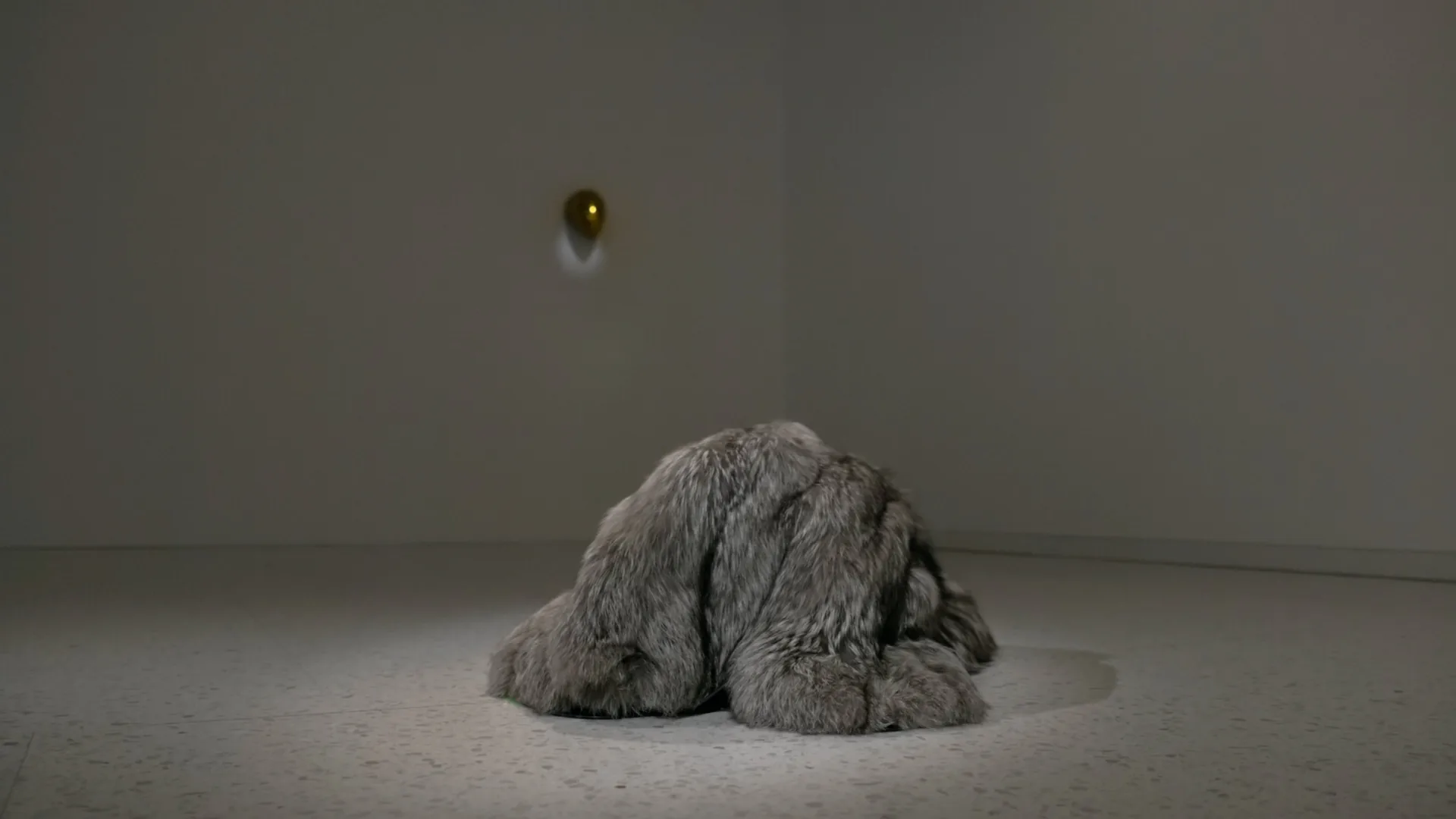 Pierre Huyghe 展覽影片