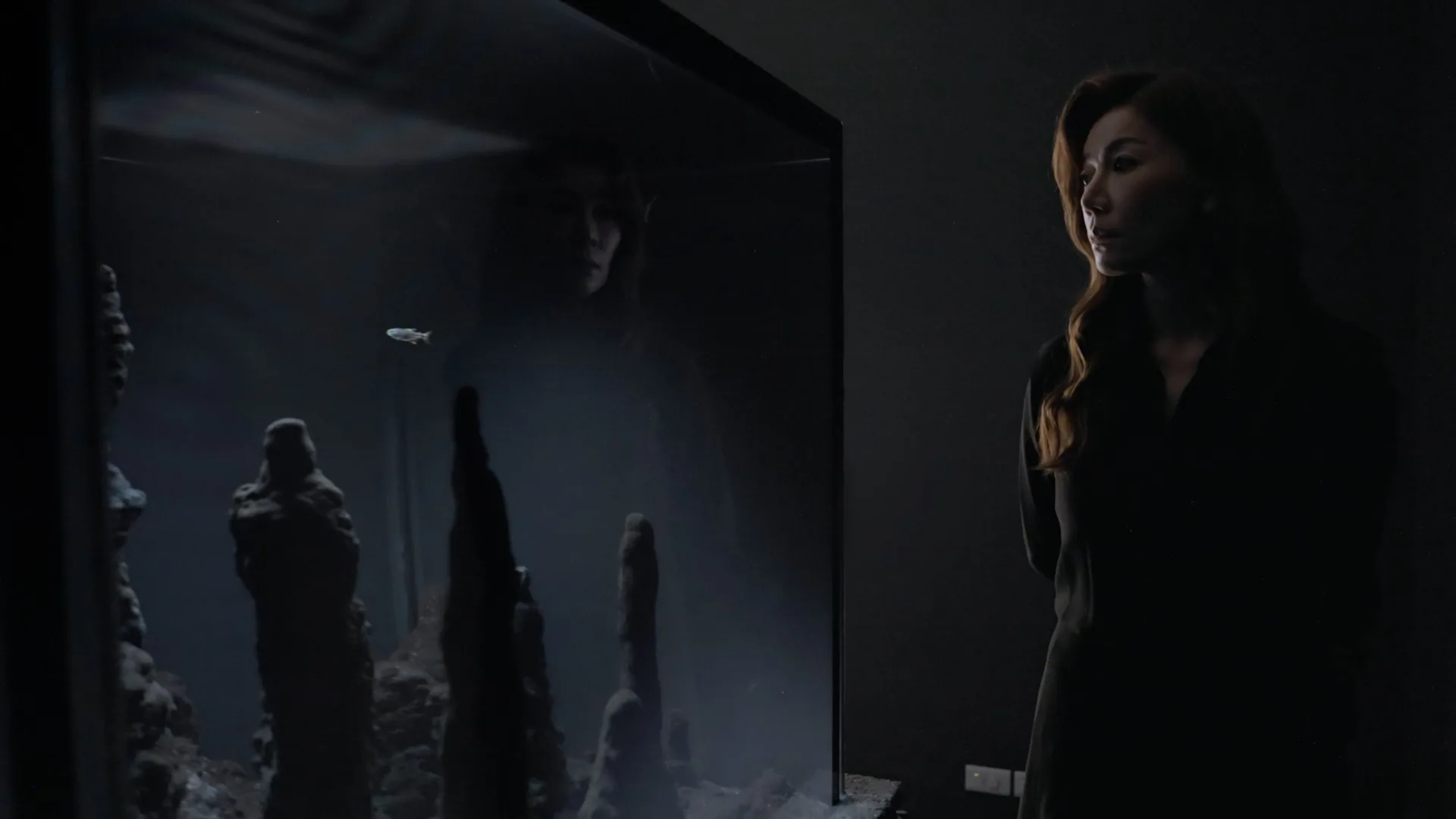 Pierre Huyghe 展覽影片