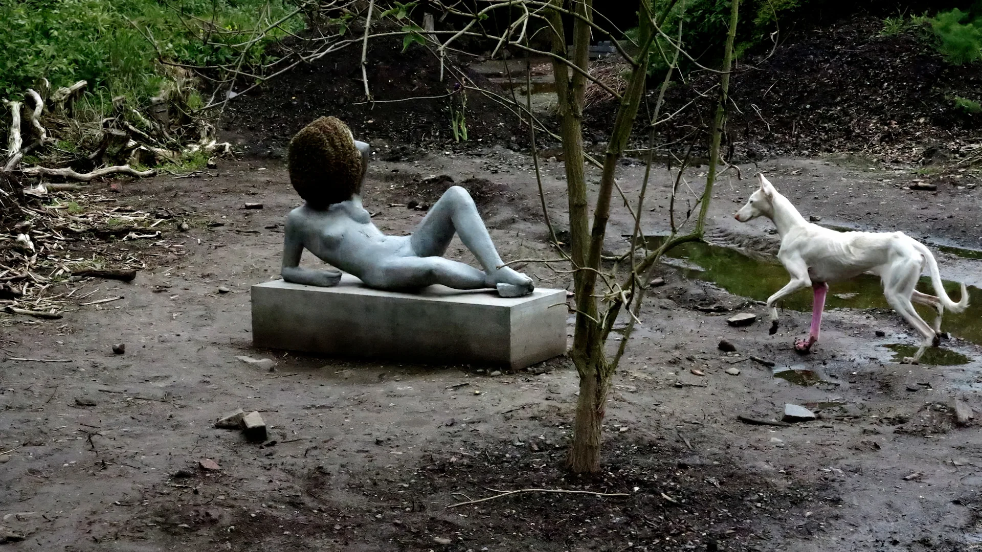 Pierre Huyghe 展覽影片