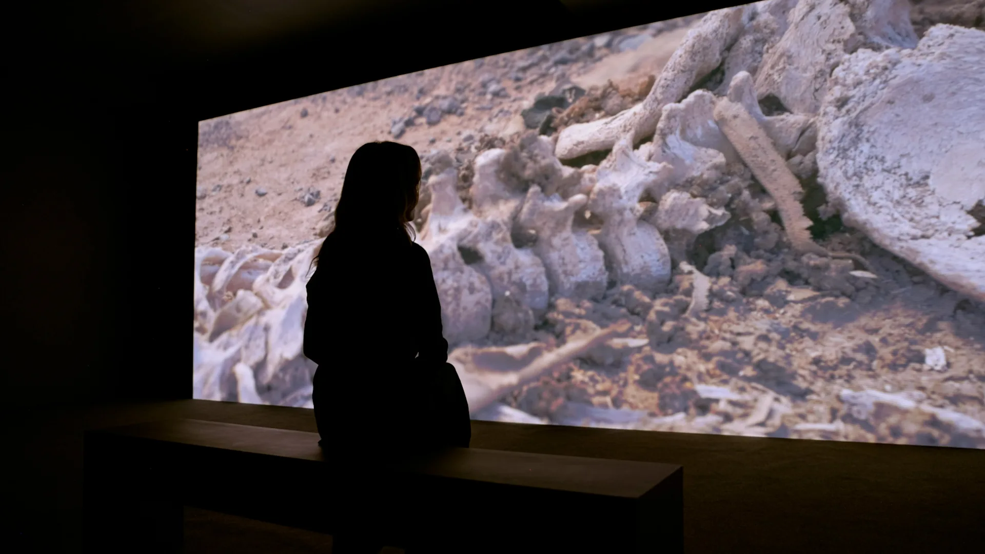 Pierre Huyghe 展覽影片